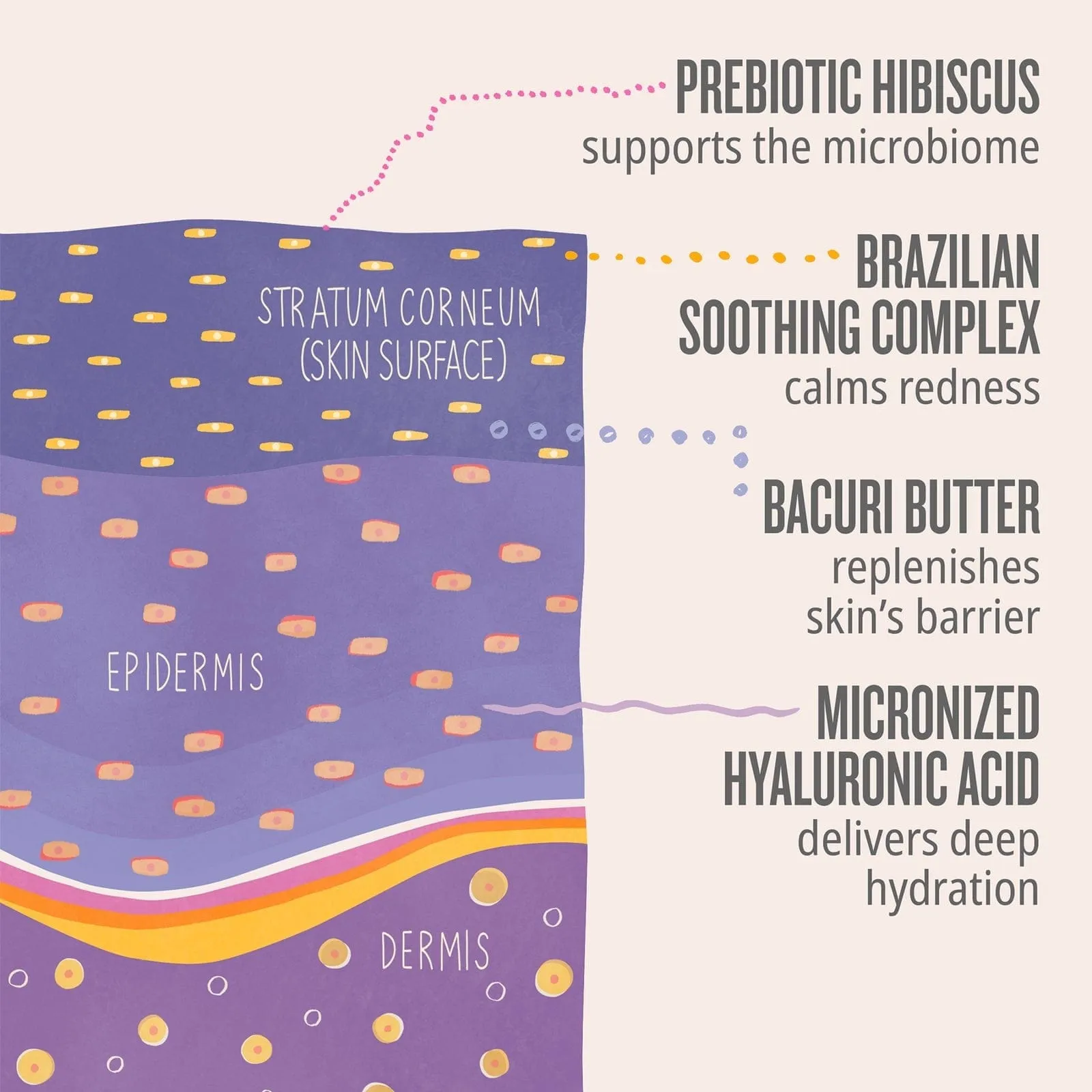 Delícia Drench™ Body Butter - Image 5